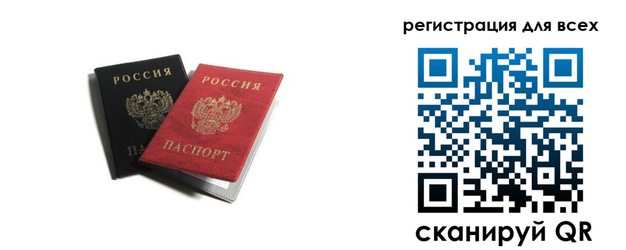прописка гарантия в Купино