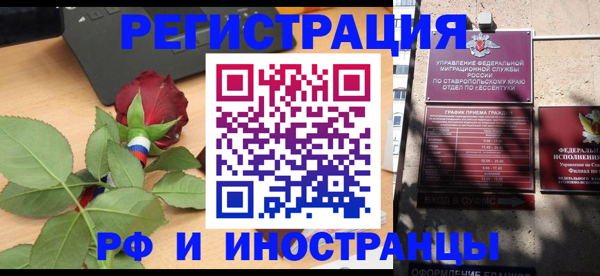 найти адрес прописки в Купино